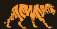 tiger.gif (16330 bytes)